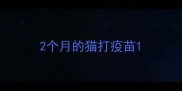 2个月的猫打疫苗