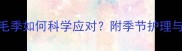 金毛犬全掉毛季如何科学应对附季节护理与健康管理指南