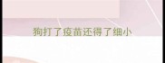 狗打了疫苗还得了细小