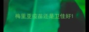 梅里亚疫苗还是卫佳好