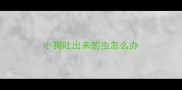 小狗吐出来的虫怎么办