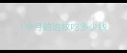 1个月的边牧吃多少钱
