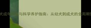 金毛犬成年标准与科学养护指南从幼犬到成犬的全周期管理