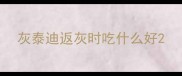 灰泰迪返灰时吃什么好