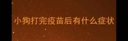小狗打完疫苗后有什么症状