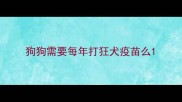 狗狗需要每年打狂犬疫苗么