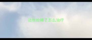 边牧拉稀了怎么治疗