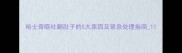 哈士奇呕吐翻肚子的5大原因及紧急处理指南1