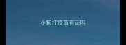 小狗打疫苗有证吗