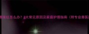 狗狗眼圈发红怎么办3大常见原因及家庭护理指南附专业兽医建议