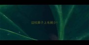 边牧鼻子上毛稀少
