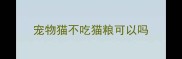 宠物猫不吃猫粮可以吗