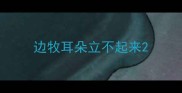 边牧耳朵立不起来