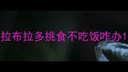 拉布拉多挑食不吃饭咋办