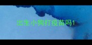 出生小狗打疫苗吗