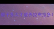 房子多大才能养拉布拉多