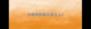 为啥狗狗喜欢舔主人