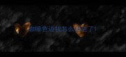 咖啡色边牧怎么褪色了