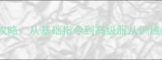 泰迪犬训练全攻略从基础指令到高级服从训练的5个关键步骤