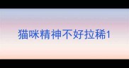 猫咪精神不好拉稀