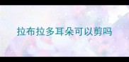拉布拉多耳朵可以剪吗
