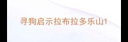 寻狗启示拉布拉多乐山