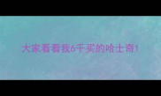 大家看看我6千买的哈士奇