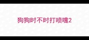 狗狗时不时打喷嚏