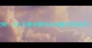 博美犬疫苗接种全攻略5大关键步骤与必须避开的误区附详细流程图解