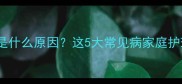 猫咪频繁抖头是什么原因这5大常见病家庭护理指南来了