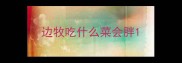边牧吃什么菜会胖