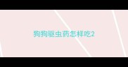 狗狗驱虫药怎样吃