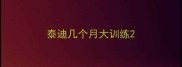 泰迪几个月大训练