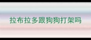 拉布拉多跟狗狗打架吗