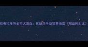 拉布拉多与金毛犬混血优缺点全及饲养指南附品种对比
