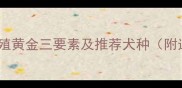 科学选种指南金毛繁殖黄金三要素及推荐犬种附选种标准与配种流程