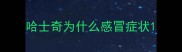 哈士奇为什么感冒症状