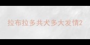 拉布拉多共犬多大发情