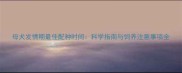 母犬发情期最佳配种时间科学指南与饲养注意事项全