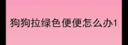 狗狗拉绿色便便怎么办