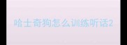 哈士奇狗怎么训练听话