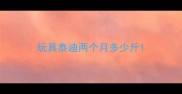 玩具泰迪两个月多少斤