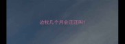 边牧几个月会汪汪叫