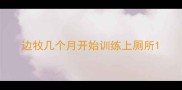 边牧几个月开始训练上厕所
