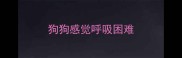 狗狗感觉呼吸困难