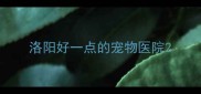洛阳好一点的宠物医院