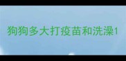 狗狗多大打疫苗和洗澡