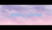 宠物托运公司可信吗