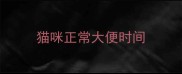 猫咪正常大便时间