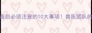 狗狗刚打过疫苗后必须注意的10大事项兽医团队的详细护理指南